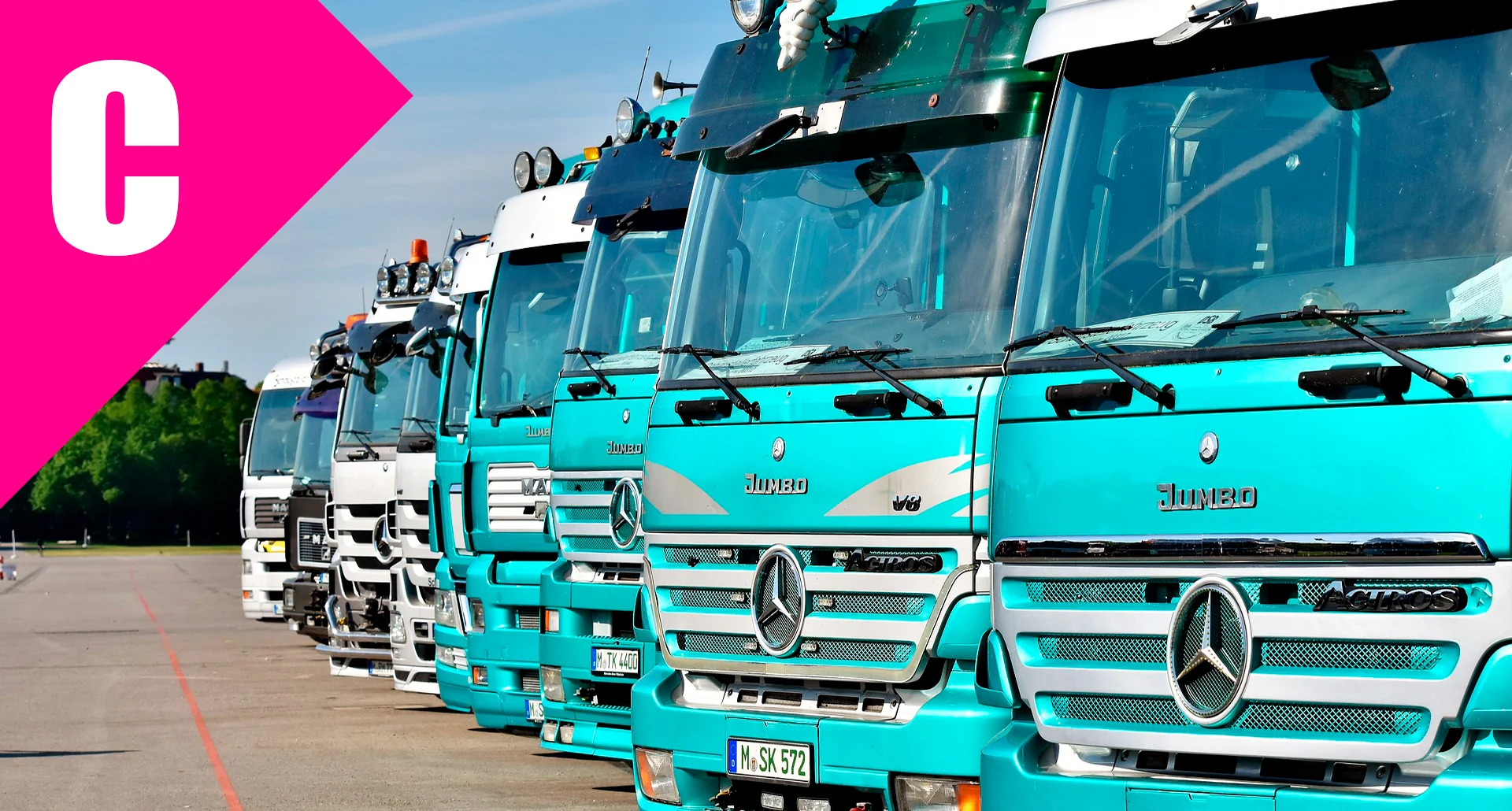 CURSO CAP RENOVACIÓN - Imagen 2